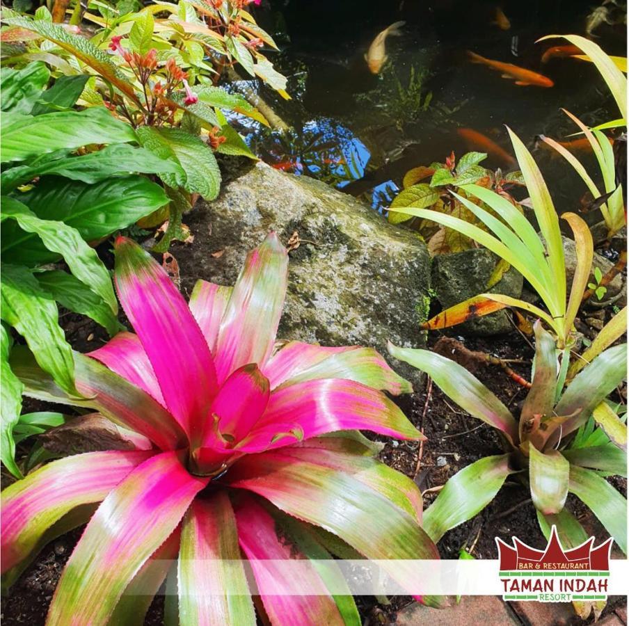 Taman Indah Resort Tamanredjo Dış mekan fotoğraf