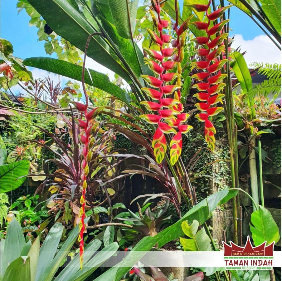 Taman Indah Resort Tamanredjo Dış mekan fotoğraf