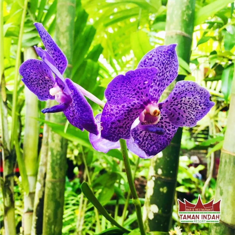 Taman Indah Resort Tamanredjo Dış mekan fotoğraf